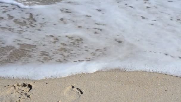 Inscription Sand August Wave Washed Inscription August Sand — Stock Video