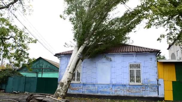 Kasırganın Sonuçlarına Katlanmak Evin Üzerine Ağaç Devrildi — Stok video