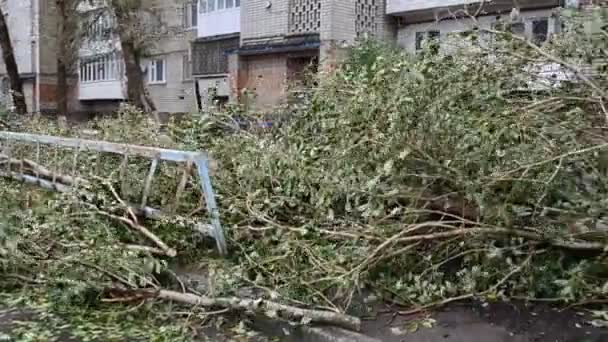 Een Storm Huizen Bomen Bomen Worden Eruit Getrokken Met Wortels — Stockvideo