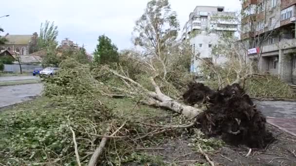 Stormgevolgen Werf Een Orkaan — Stockvideo