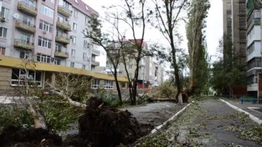 Rüzgar ağaçları kırıyor. Fırtınalı bir rüzgarda ateş etmek.