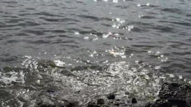 Dalga ve güneş. Denizde dalgalanmalar
