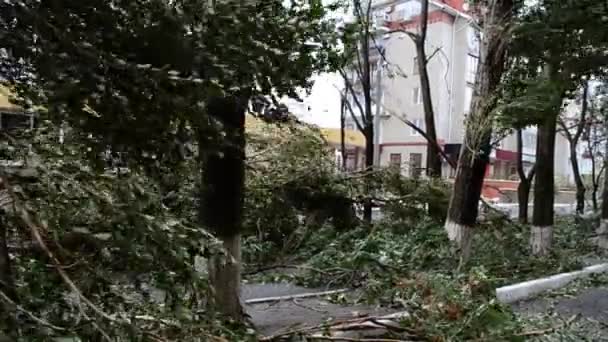 Camera Een Orkaanzone Gevulde Straten Bomen — Stockvideo