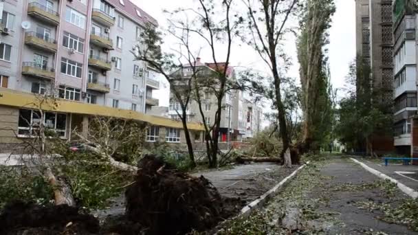 Wind Breekt Bomen Schieten Tijdens Een Stormwind — Stockvideo