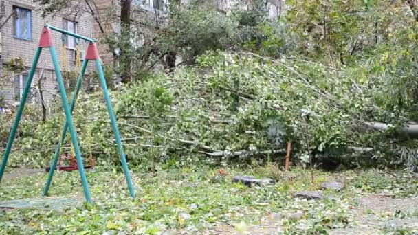 Barnens Gunga Och Trasiga Träden Efter Orkan Stormkonsekvenser — Stockvideo