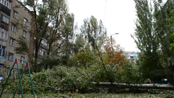 Kasırgadan Sonraki Bahçe Devrilmiş Ağaçlar — Stok video