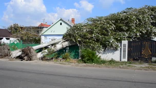 Huizen Vol Met Omgevallen Bomen Schieten September Schieten Van Gevolgen — Stockvideo