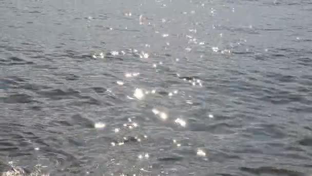 Морський Пейзаж Відображення Сонця — стокове відео
