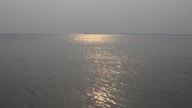 Martılar ve deniz. Güneş yolu