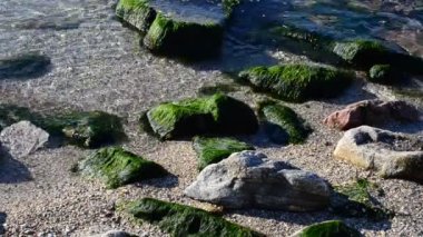 Kum ve taşlar, sahil dalgaları. Yaz manzarası