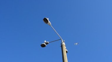 Gökyüzünde lambalar yanıyor. Martılar bir lambanın üzerine oturur.