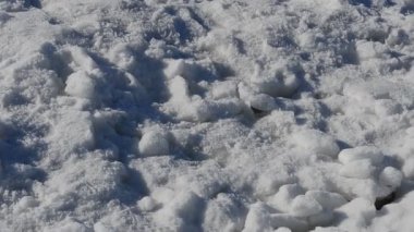 Donmuş deniz. Deniz buzu