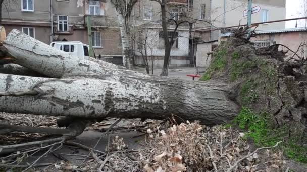 Κάηκε Αμάξι Καμένο Αυτοκίνητο — Αρχείο Βίντεο