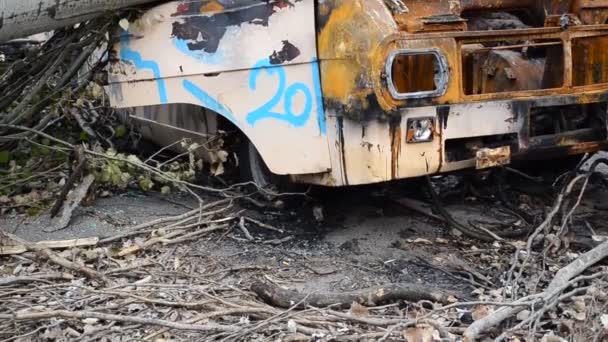 Coche Destruido Árbol Que Rompió Coche — Vídeo de stock