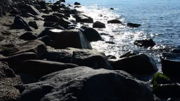 Idyllic Manzara Kıyı Dalgası — Stok video