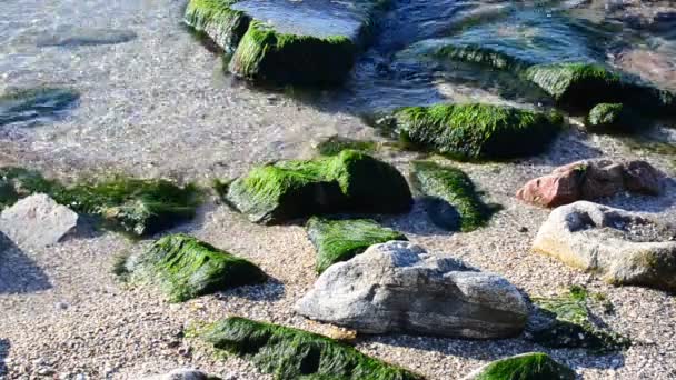 Wybrzeże Kamienie Piękna Plaża — Wideo stockowe