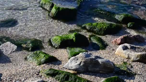 Άμμος Και Πέτρες Παράκτιο Κύμα Θερινό Τοπίο — Αρχείο Βίντεο