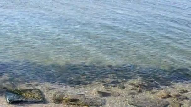 Deniz Taban Deniz Sahil — Stok video