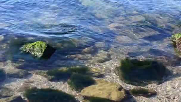 Κύκλους Πάνω Από Νερό Φυσικό Τοπίο — Αρχείο Βίντεο