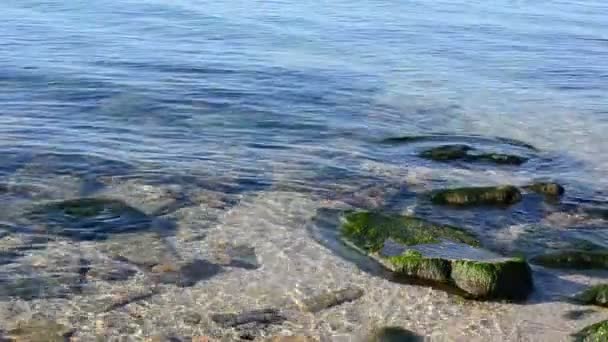 Kıyı Dalgası Dinlen Sahile Git — Stok video