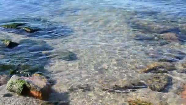 Belle plage. Eau et pierres 
