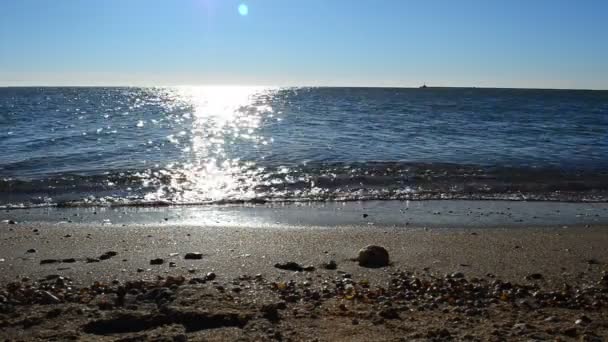 Spiaggia Sabbia Paesaggio Marino — Video Stock