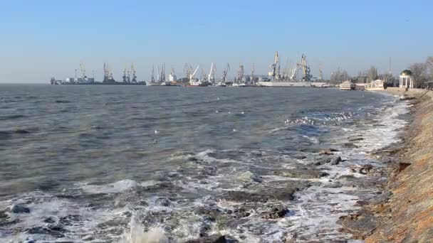 Embankment Puerto Gaviotas Sobre Mar — Vídeos de Stock