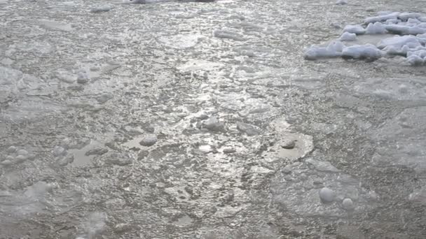 1月に撮影 氷と海 — ストック動画