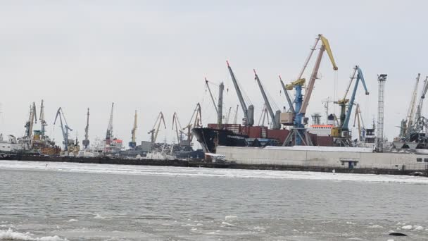 Der Gefrorene Hafen Dreharbeiten Januar — Stockvideo