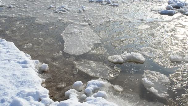 凍った海だ 水に浮かぶ氷 — ストック動画