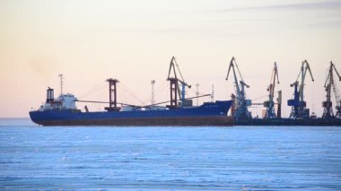 Kış limanı. Turnalar ve donmuş deniz