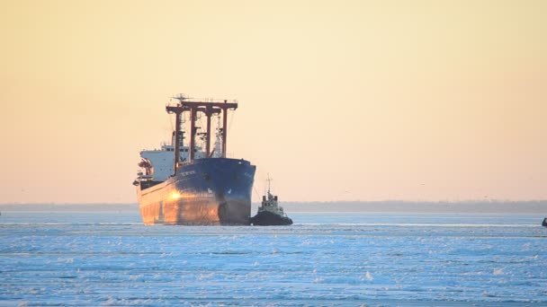 Mar Gelado Declínio Navio Carga — Vídeo de Stock