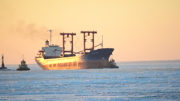 Nave Carga Mar Congelado Declive — Vídeos de Stock