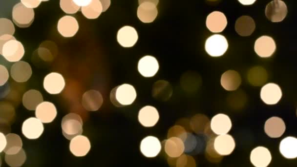 冷杉树上的火 节日篝火 — 图库视频影像