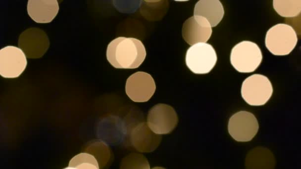 以背景形式出现的摘录 冷杉树上的火光 — 图库视频影像