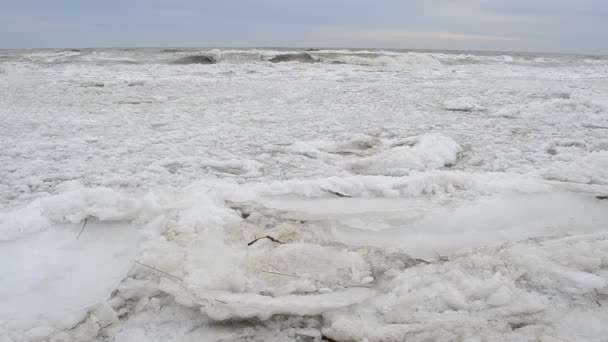 Mar Invierno Bloques Hielo Mar — Vídeo de stock