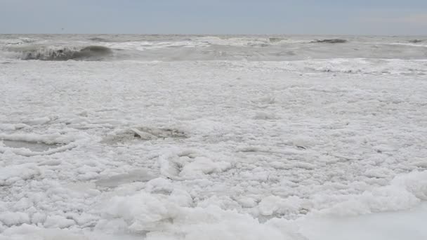 Côte Gelée Glace Vague — Video