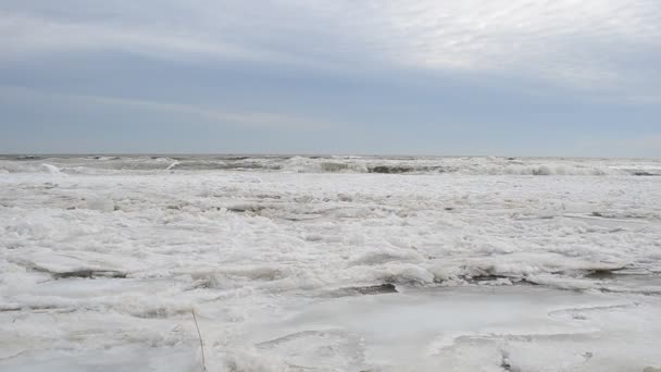1月に撮影 海における氷の動き — ストック動画