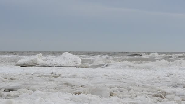 Det Frusna Havet Och Våg — Stockvideo