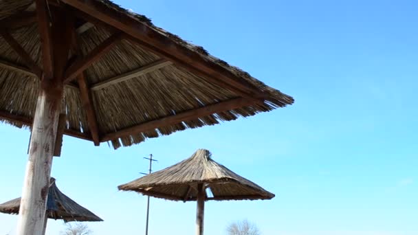 Coperture Paglia Contro Cielo Baldacchini Una Spiaggia — Video Stock