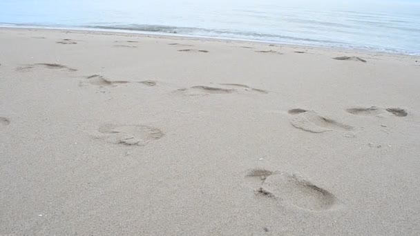 Menselijk Spoor Wandelen Een Strand — Stockvideo