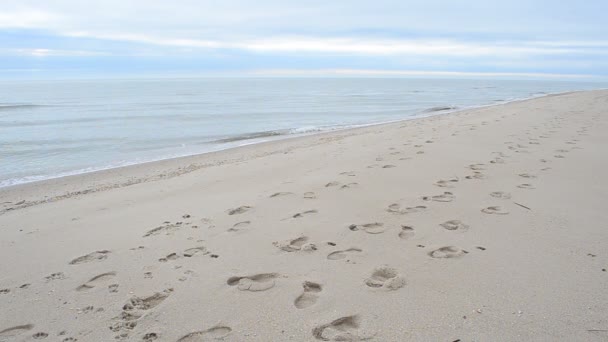痕跡と砂 砂の上の痕跡 — ストック動画