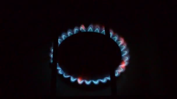 Газовая Печь Голубое Пламя — стоковое видео