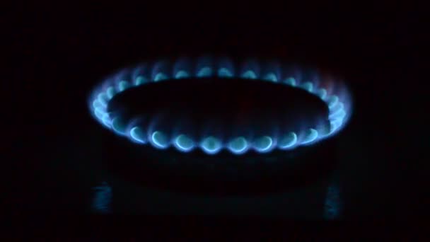 Fuego Cocina Fuego Azul — Vídeo de stock