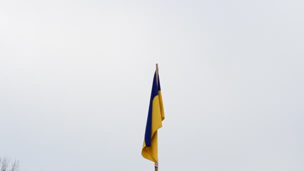 Πυροβολισμός Σημαίας Ουκρανική Σημαία Και Ουρανός — Αρχείο Βίντεο