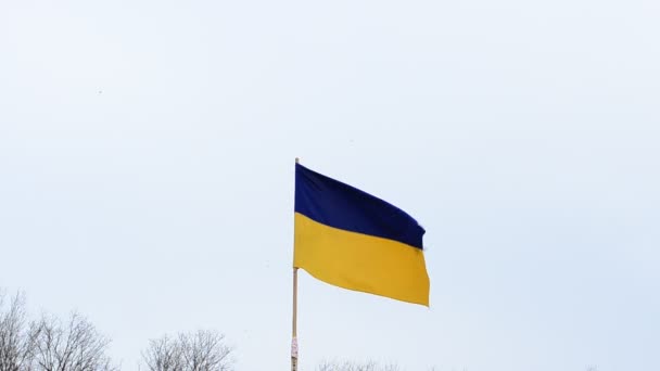 Український Прапор Небо Здійснення Прапора — стокове відео