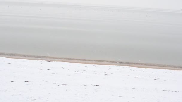 Сніг Море Пляж Море Взимку — стокове відео