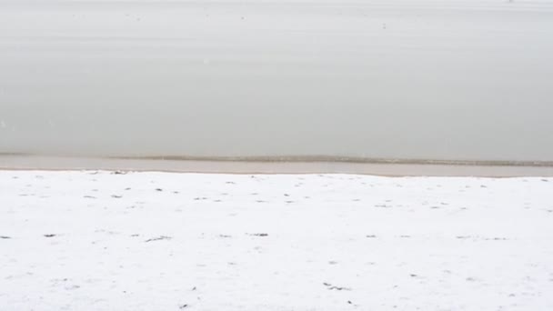 Morze Zimą Śnieg Morze Plaża — Wideo stockowe