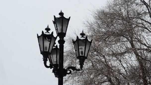 Lantern Před Stromy Lucerna Sníh — Stock video