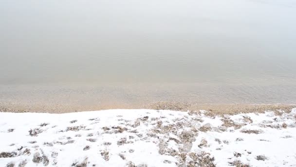 Morze Zimowe Morze Śnieg — Wideo stockowe